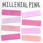 ミレニアルピンク MILLENIAL PINK とは